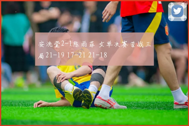 安洗莹2-1陈雨菲 女单决赛苦战三局21-19 17-21 21-18