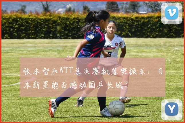 张本智和WTT总决赛挑落樊振东，日本新星能否撼动国乒长城？